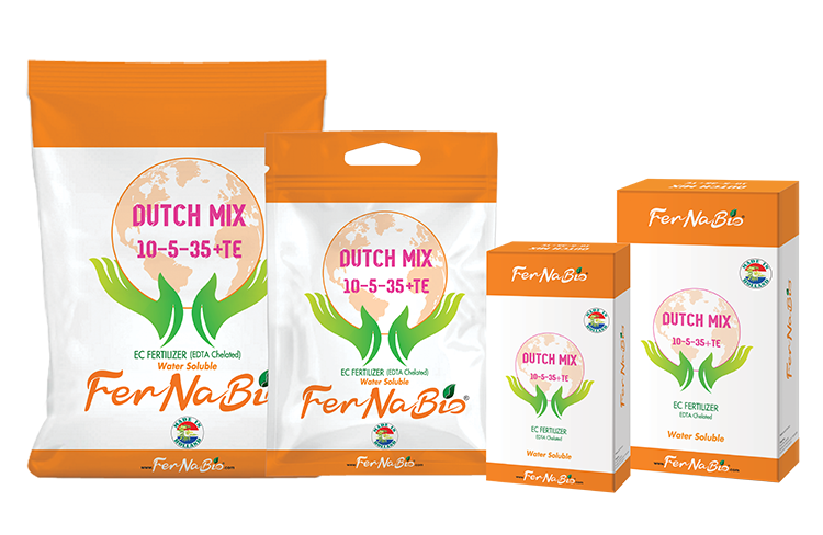 Dutch Mix 10-5-35 +TE