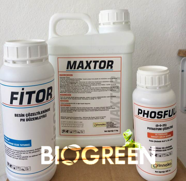 Maxtor Fitor Phosfull